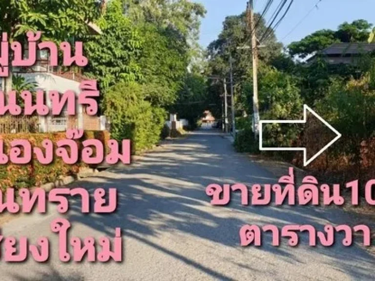 ขายที่ดิน 100 ตรว ใกล้แยกรวมโชค สิ่งอำนวยความสะดวกครบ ในโครงการหมู่บ้านสวนนนทรีย์