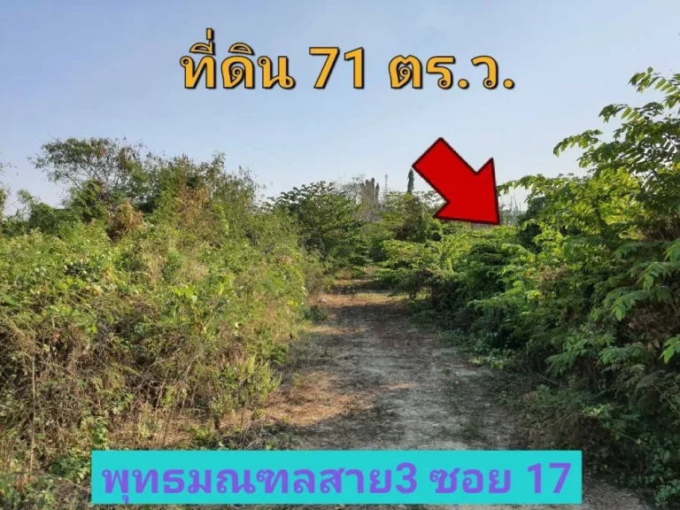 ขายที่ดินพุทธมณฑล 71 ตารางวา ใกล้โรงเรียน นวมินทราชินูทิศฯ แขวง ศาลาธรรมสพน์ เขตทวีวัฒนา กรุงเทพมหานคร