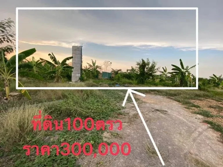 ขายที่ดินเปล่า100ตรว ถมแล้ว