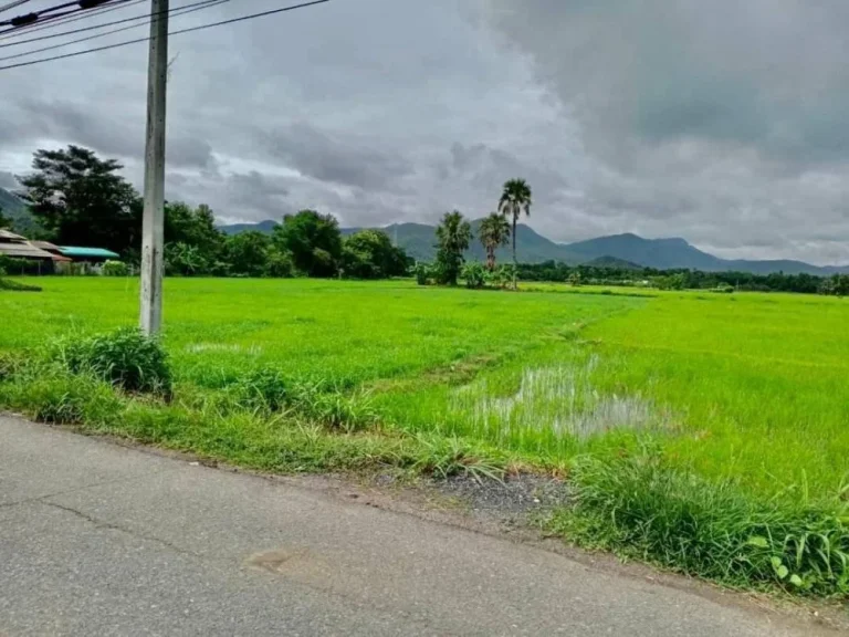 ขายที่นาถมเรียบร้อยติดภูเขา ติดถนนลาดยาง ร้องวัวแดง แม่ออน ราคาถูก