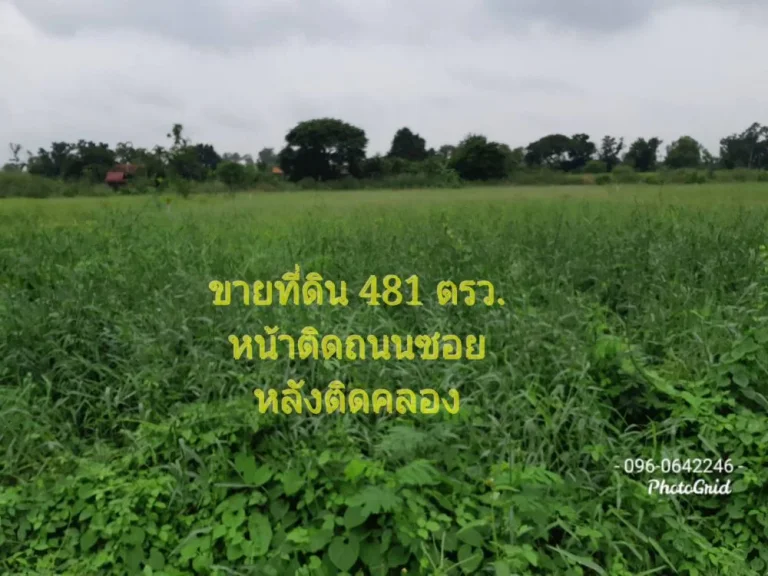 ขายที่ดิน 481 ตรว ติดถนนซอย สุวินทวงศ์ หลังติดคลอง ตคลองอุดมชลจร เมือง ฉะเชิงเทรา 24000 ใกล้ตลาด