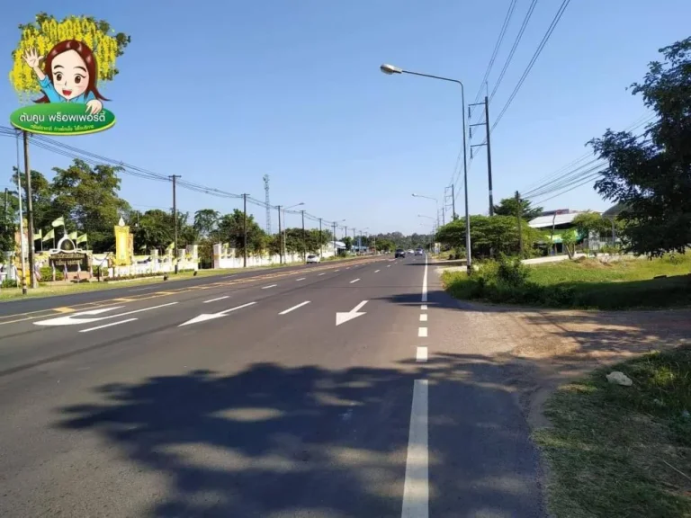 ขายที่ดิน ติดถนนอุบล-ตระการ ฝั่งขาเข้า ตรงข้าม อบตไร่น้อย