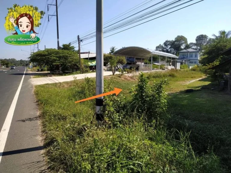 ขายที่ดิน ติดถนนอุบล-ตระการ ฝั่งขาเข้า ตรงข้าม อบตไร่น้อย