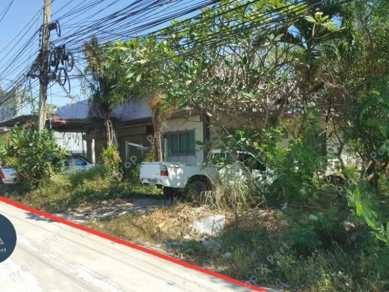 ขายที่ดิน 214 ตรวา ติดถนนสุขุมวิท ใกล้สะพานข้ามท่าเรือแหลมฉบังเฟส3 214 Sqwah land for sale Sukhumvit Rd close to Laemchabang Port phase3