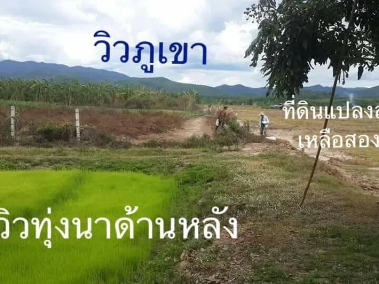 ขายที่ดินวิวทุ่งนา ภูเขา ติดถนนเลียบน้ำแม่ทา อแม่ทา จลำพูน