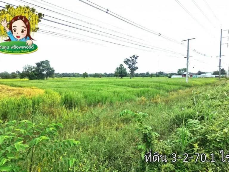 ขายที่นา ติดถนนแจ้งสนิท อุบล