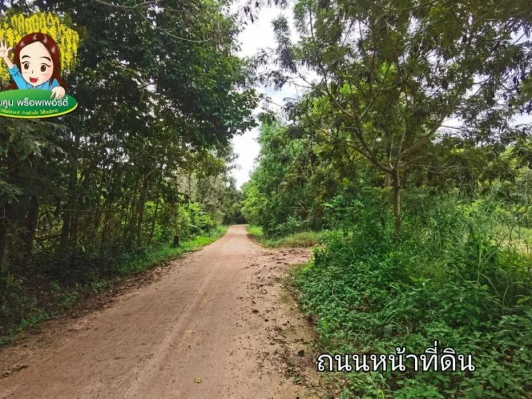 ขายที่ดิน หลังอนามัย 10 ใกล้มอุบล