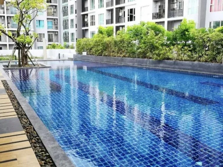 Serrano condominium ขายต่ำกว่าราคาตลาด 