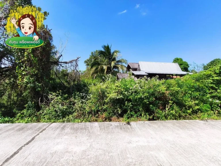 ขายที่ดินในซอยตำรวจ อำเภอม่วงสามสิบ อุบล