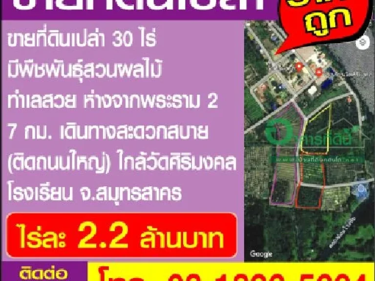 ขายที่ดินเปล่า 30 ไร่ ราคาถูก มีพืชพันธุ์สวนผลไม้ ทำเลสวย ใกล้วัดศิริมงคล จสมุทรสาคร