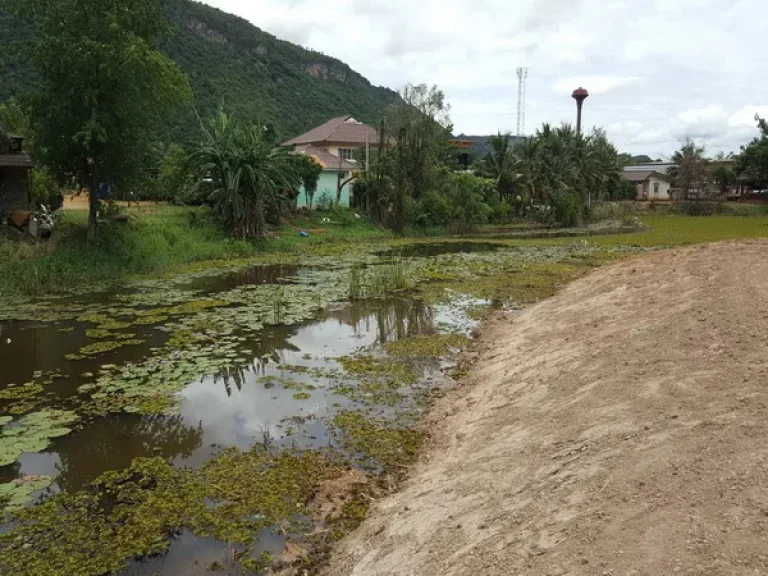 ขาย ที่ดิน ย่านเขาใหญ่ ตหมูสี อปากช่อง จนครราชสีมา