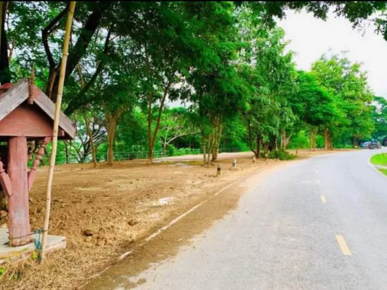 ขายที่ดินติดถนนหลังติดแม่น้ำ ป่าซางลำพูน