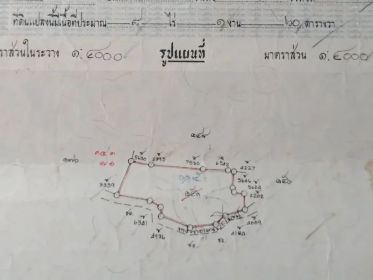 ขายที่ดิน 2โฉนดรวม 11- 3-44 ไร่ ผังเหลือง ติดถนนดำ กว้าง 48mยาว 310 m