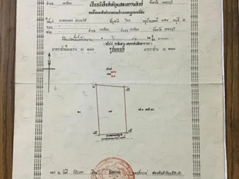 ขายที่ดินเขาย้อย