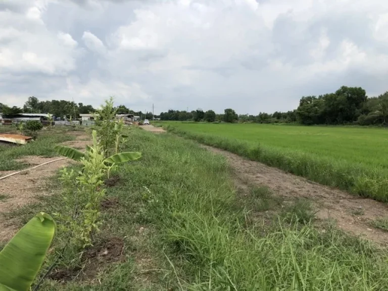 ขาย ที่ดิน คลองสี่ตะวันตก ปทุมธานี พื้นที่ 3 ไร่ ขายถูก ที่ดินปลอดภาระ พร้อมโอน