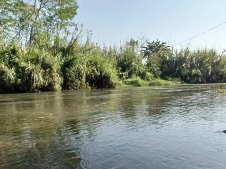 ขายทีี่ดินติดน้ำ เชียงดาว ห่างถนนหลักเพียง 800 เมตร ราคาถูก