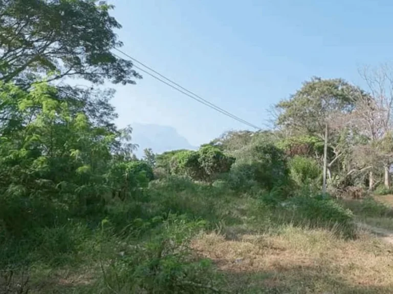 ขายทีี่ดินติดน้ำ เชียงดาว ห่างถนนหลักเพียง 800 เมตร ราคาถูก