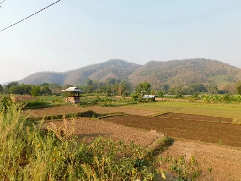 ที่ดินโฉนดวิวภูเขา360องศาราคาพิเศษอยู่ในเขตเทศบาลตำบลสะเมิงใต้