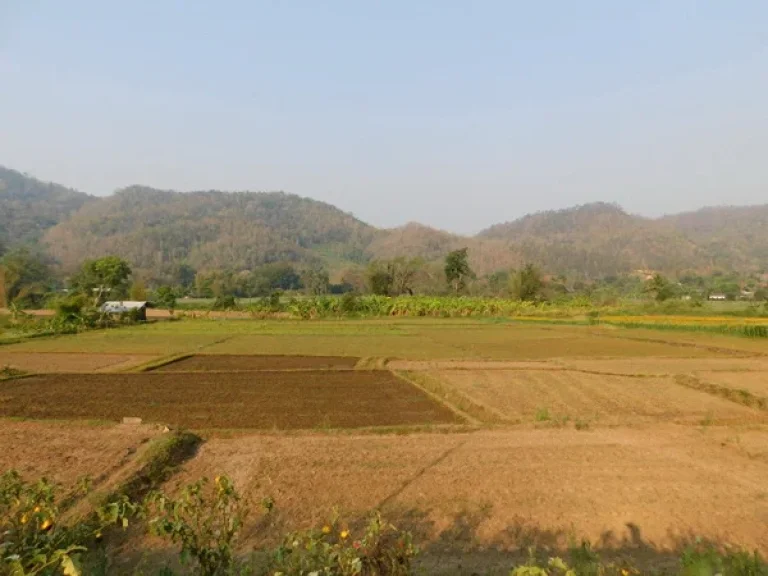 ที่ดินโฉนดวิวภูเขา360องศาราคาพิเศษอยู่ในเขตเทศบาลตำบลสะเมิงใต้