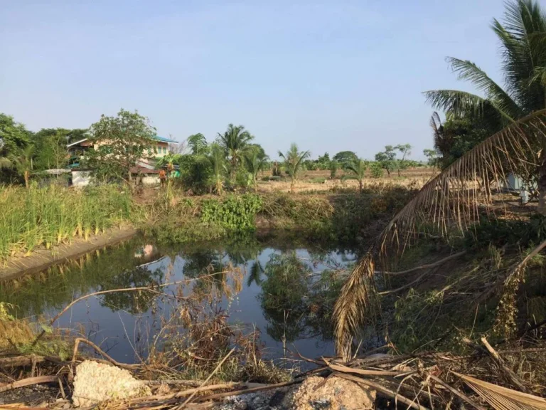 ขายที่ดิน 3807 ตรว เป็นบ่อใกล้ถสุวินทวงศ์304 - 2 กม อเมืองฉะเชิงเทรา จฉะเชิงเทรา