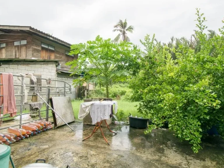 ขาย บ้านพร้อมที่ดิน ถสุขสวัสดิ์ ตในคลองบางปลากด พระสมุทรเจดีย์ สมุทรปราการ ซอยวัดใหญ่