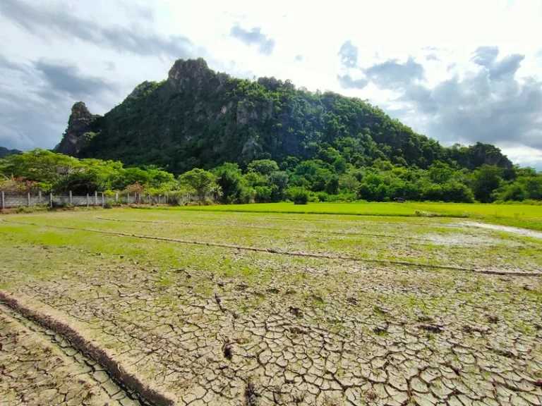 ขายที่ดินวิวภูเขาสวย ชะอำ หนองตาพต