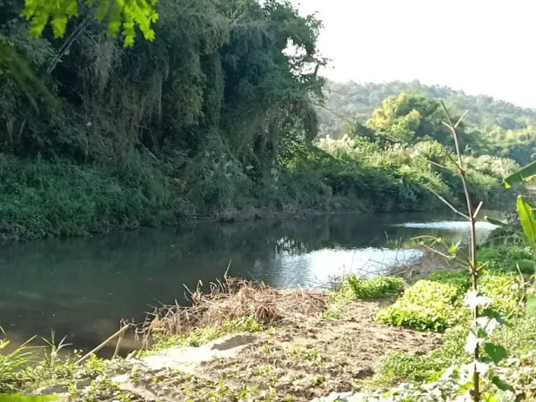 ขายที่ดินติดน้ำ ติดเขา สันป่าตอง น้ำบ่อหลวง ราคาถูก