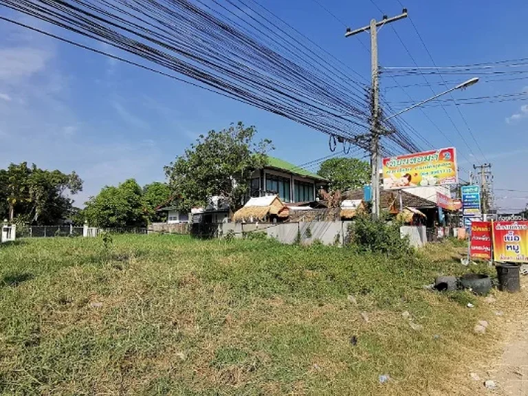 ขายที่ดินพร้อมสิ่งปลูกสร้าง ขนาด 1 งาน ตพลายชุมพล อเมือง จพิษณุโลก