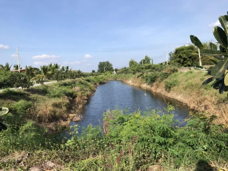 ด่วน ขายที่ดินติดภูเขาและลำห้วย สุพรรณบุรี