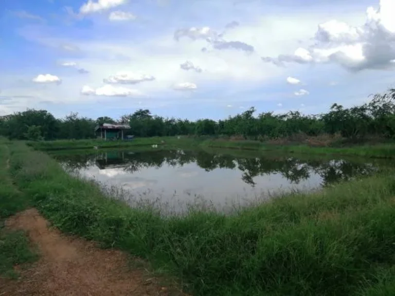 ขายที่ดินแปลงเกษตรอินทรีย์ ตเขาแร้ง อเมือง จราชบุรี ใกล้แหล่งท่องเที่ยว