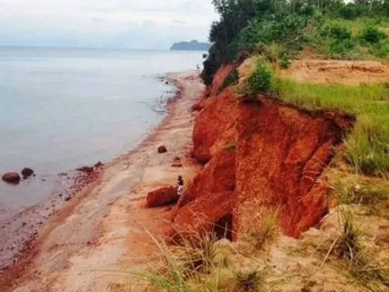 ขายที่ดินติดทะเล ตทรายทอง อบางสะพานน้อย จประจวบคีรีขันธ์ เนื้อที่ 5ไร่