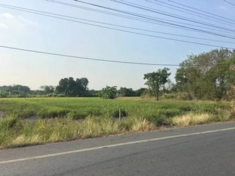 ขายที่ดินติดถนนลาดยาง คลอง10 ธัญบุรี-ลำลูกกา 1 ไร่ มีไฟฟ้า ประปา เหมาะค้าขาย สร้างบ้าน ทำโกดัง