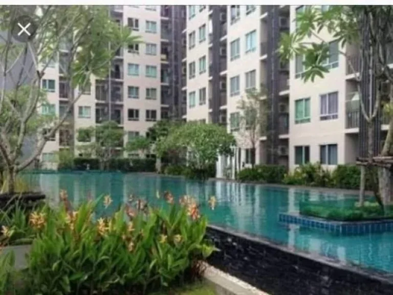 ให้เช่า IRIS Avenue อ่อนนุช สุวรรณภูมิ 7500 บาท ใกล้ Airport Link ลาดกระบัง พร้อมอยู่