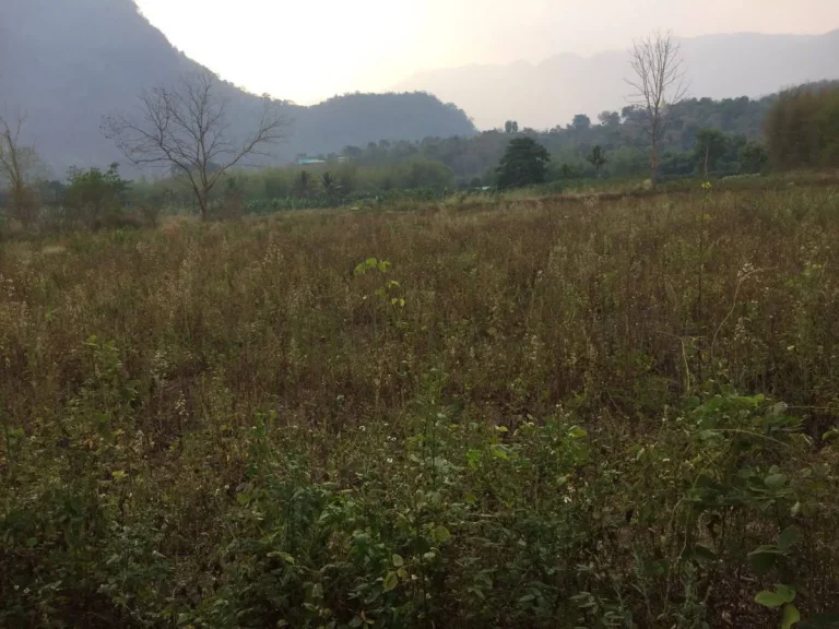 ขายที่ดินเชียงดาว วิวดอยหลวง บรรยากาศเย็นสบายตลอดทั้งปี เนื้อที่ 9ไร่