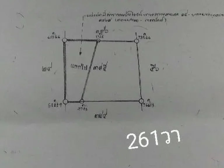 ขายที่ดิน 4-2-22 ไร่ ทำเลทอง ศรีนครินทร์ แขวงบางนา เหมาะสำหรับนักลงทุน