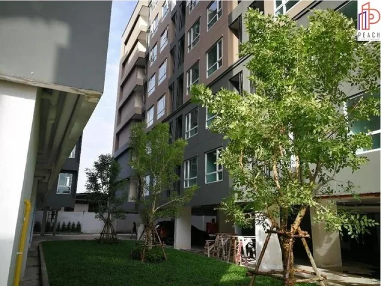 ให้เช่า รีเจ้นท์โฮม สุขุมวิท 97 Regent Home Sukhumvit 97 ใกล้ BTS บางจาก