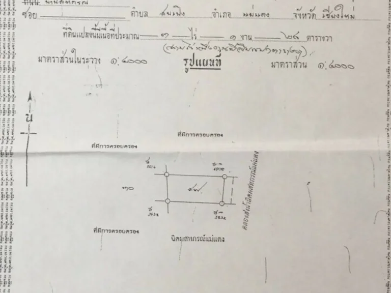 ขายที่ดินติดถนน อำเภอแม่แตง ราคาถูกมาก เนื้อที่ 10-0-5 ไร่