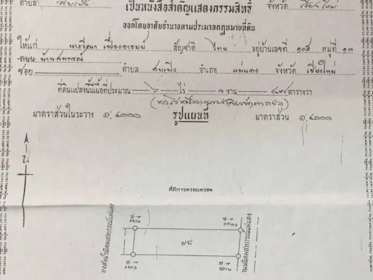 ขายที่ดินติดถนน อำเภอแม่แตง ราคาถูกมาก เนื้อที่ 10-0-5 ไร่