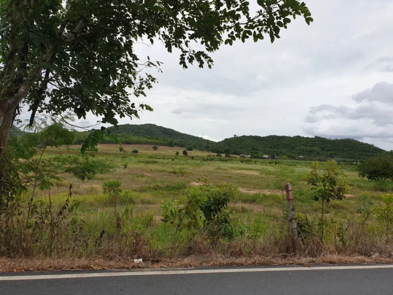 ขายที่ดินบางสเหร่ สัตหีบ ติดทางรถไฟความเร็วสูง ใกล้เขาชีจรรย์ สวนนงนุช และสวนน้ำรามายณะ 106 ไร่ราคาจบได้จริง