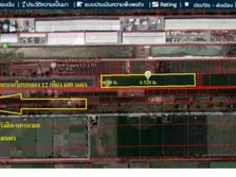 ขายที่ดิน คลอง 12 หนองเสือ 10 ไร่ ติดถนนซอย มีไฟฟ้า มีน้ำประปา เหมาะปลูกบ้าน ทำการเกษตร ทำโกดังได้