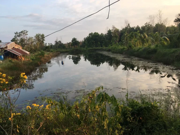 ขายที่ดินพร้อมสวน 22 ไร่ อำเภอท่าใหม่ จังหวัดจันทบุรี