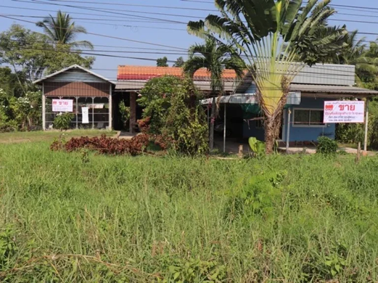 ขายที่ดินพร้อมสิ่งปลูกสร้าง บ้านสวน ต โคกสะอาด อเมืองอุดรธานี จ อุดรธานี 51 ไร่ 12 ตารางวา