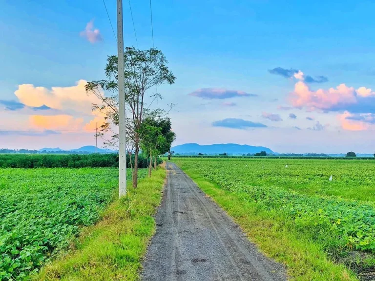 ที่ดินโฉนด 5 ไร่ ตดอนดึง อบ้านหมี่ จลพบุรี