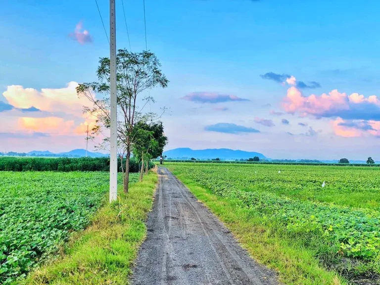 ที่ดินโฉนด 5 ไร่ ตดอนดึง อบ้านหมี่ จลพบุรี