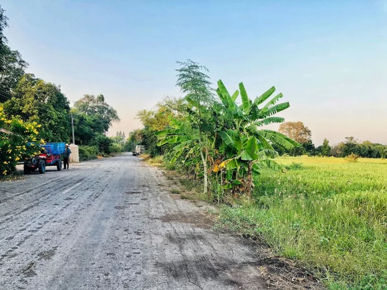 ที่ดินโฉนด 1 -2ไร่ น้ำไฟครบ ตคลองเกตุ อโคกสำโรง จลพบุรี