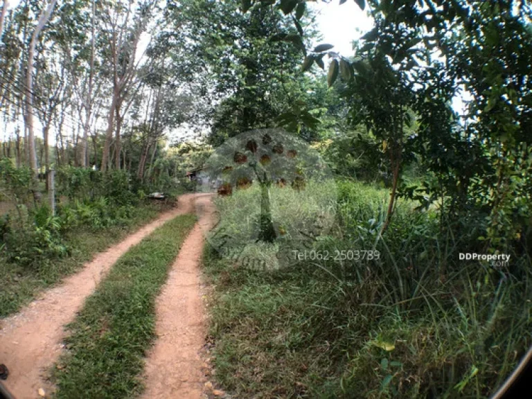 ขายที่ดินติดถนนทางหลวงสายบางกระดาน-ท่าจอด 8 ไร่เศษ ใกล้ สนามบินตราด ติดต่อ ธนภณ 062-250-3789 Line thanaphon59