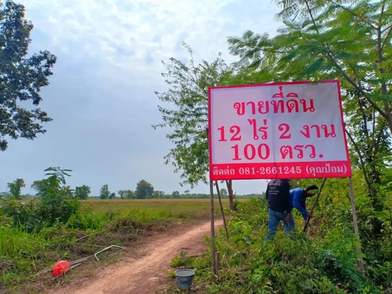 ขายที่ดินAEC พื้นที่เศรษฐกิจ ทำเลทอง 12 ไร่ 2 งาน 100 ตรว โพธิ์ชัย เมืองหนองคาย