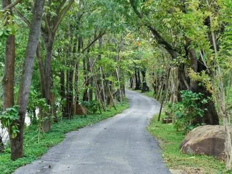 ขายดาวน์คอนโด Swan Lake Khao Yai ราคาถูกมากเท่าทุนเมื่อปี 60