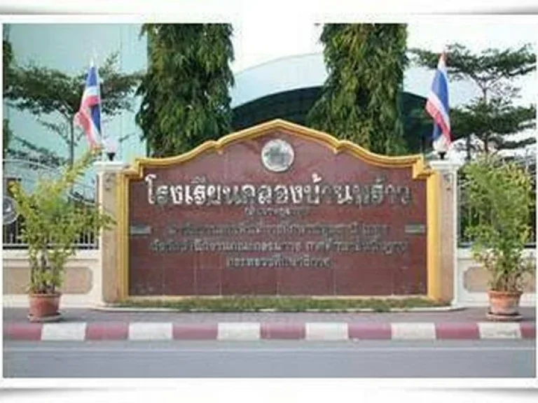 ขายที่ดินเปล่า ตเชียงรากใหญ่ อสามโคก จปทุมธานี เนื้อที่ 16ไร่ 2งาน 68ตรว