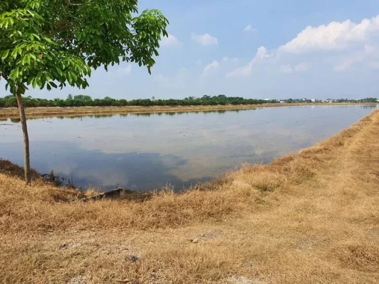 ขายที่ดินเปล่า ซอยเลียบคลองมหาโยธา ปทุมธานี 14 ไร่ 200 ตรว แปลงที่ดินสวย แหล่งชุมชน ใกล้ถนนตัดใหม่